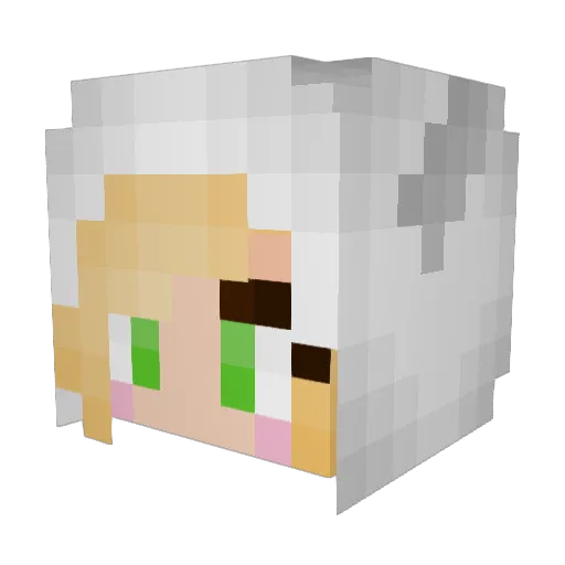 Benjaasdasd Minecraft avatar head, 3D render