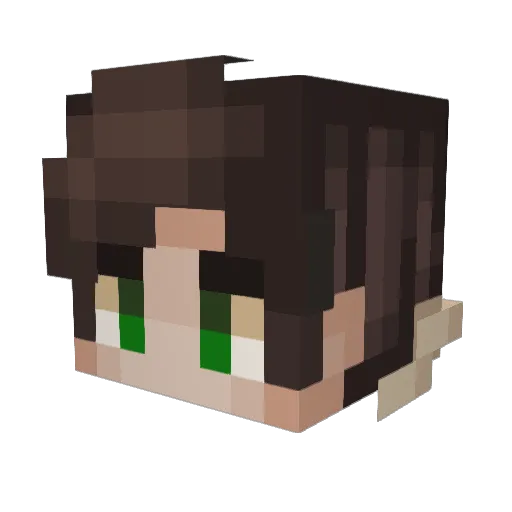 BenjaminAKJ Minecraft avatar head, 3D render