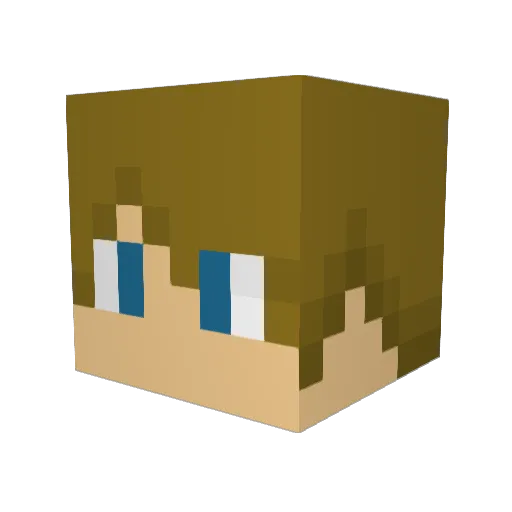 BenjaminErrm Minecraft avatar head, 3D render