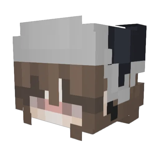 BenjaminNetanyaa Minecraft avatar head, 3D render