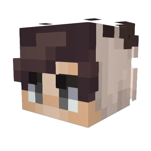 Benjamin_Dahle04 Minecraft avatar head, 3D render