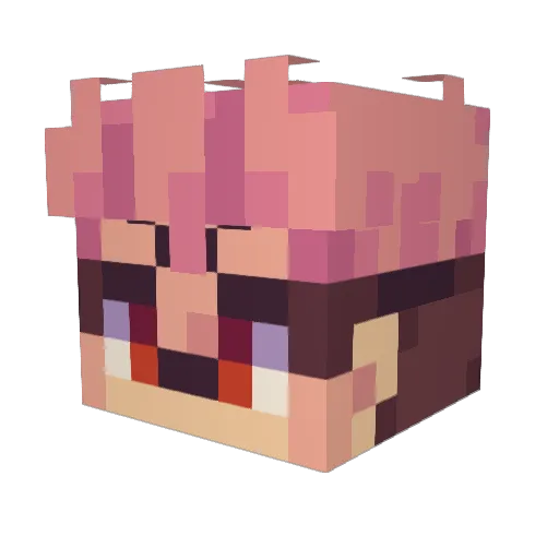 Benjaminbdog11 Minecraft avatar head, 3D render