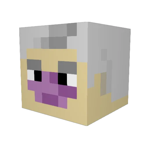 Benjammin8412 Minecraft avatar head, 3D render