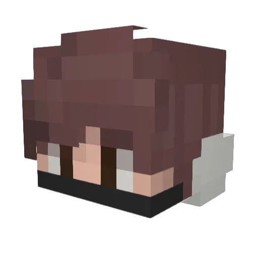 Benjaprocer0 Minecraft avatar head, 3D render