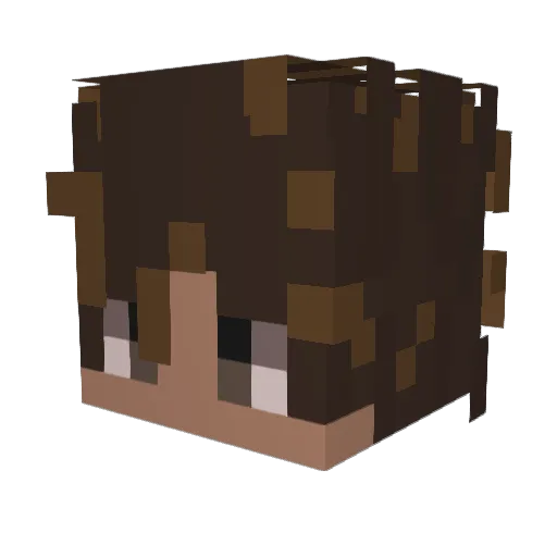 Benjasmim Minecraft avatar head, 3D render