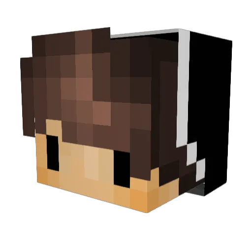 Benjawn Minecraft avatar head, 3D render