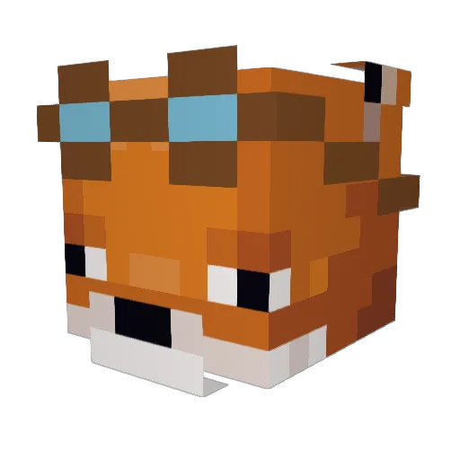 Benji1520 Minecraft avatar head, 3D render