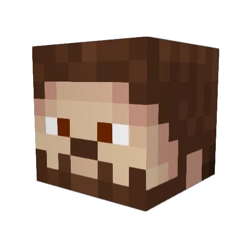 Benji9714 Minecraft avatar head, 3D render
