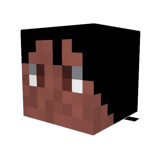 BenjiBeqr Minecraft avatar head, 3D render