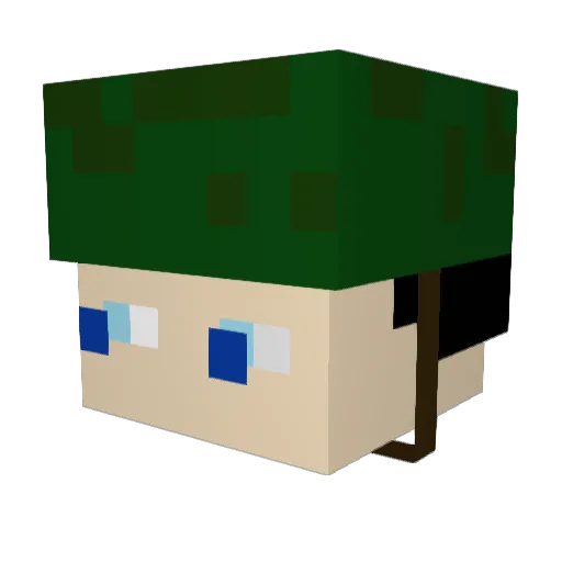 BenjiEbwald Minecraft avatar head, 3D render