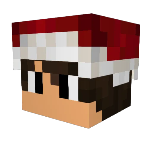BenjiOst Minecraft avatar head, 3D render