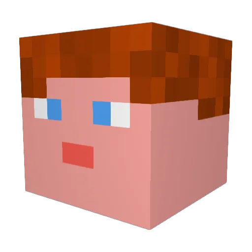 Benji_05 Minecraft avatar head, 3D render