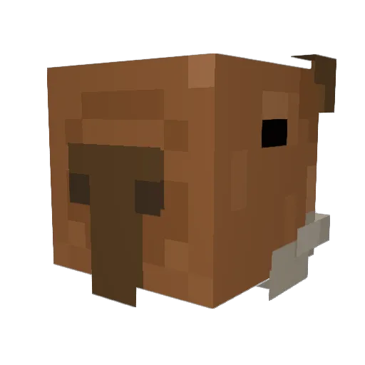 Benji_NL Minecraft avatar head, 3D render