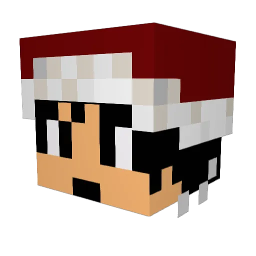 Benjii26 Minecraft avatar head, 3D render
