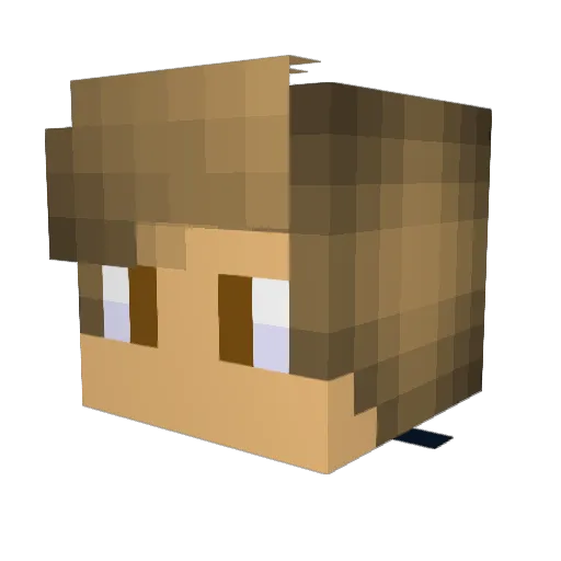 BenjiiSLO Minecraft avatar head, 3D render
