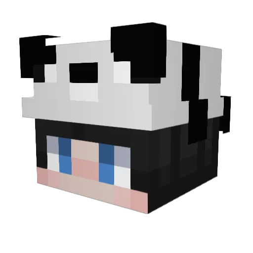 Benjii_vi Minecraft avatar head, 3D render