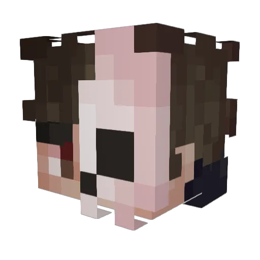 Benjimin_ Minecraft avatar head, 3D render