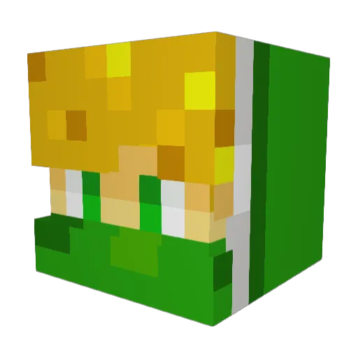 Benjo1999999 Minecraft avatar head, 3D render