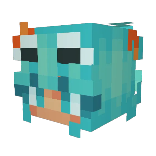 Benjook1 Minecraft avatar head, 3D render