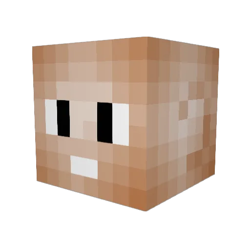 Benn2111 Minecraft avatar head, 3D render
