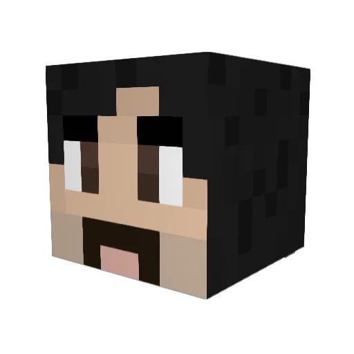 BennebyZappa Minecraft avatar head, 3D render
