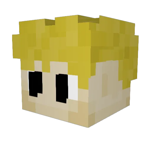 BenniONLINE2010 Minecraft avatar head, 3D render