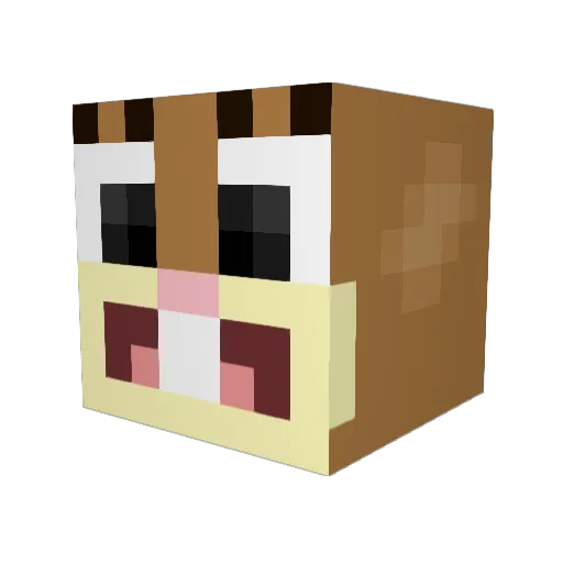 Bennid1 Minecraft avatar head, 3D render