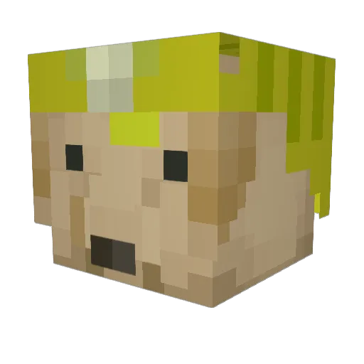 Bennja4444 Minecraft avatar head, 3D render