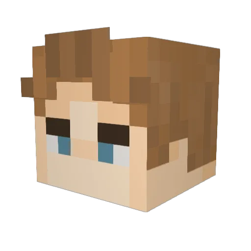 Bennji_9 Minecraft avatar head, 3D render