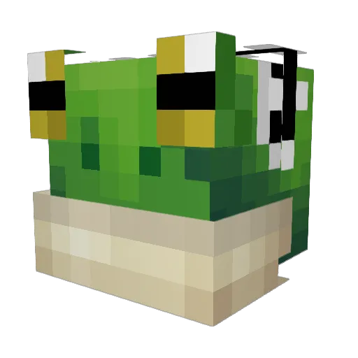 Bennntennn Minecraft avatar head, 3D render