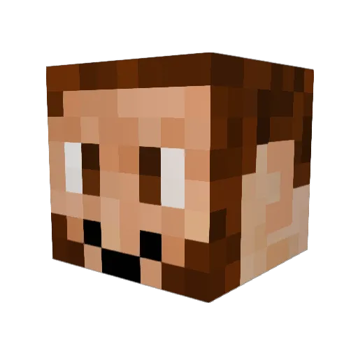 Bennx09 Minecraft avatar head, 3D render
