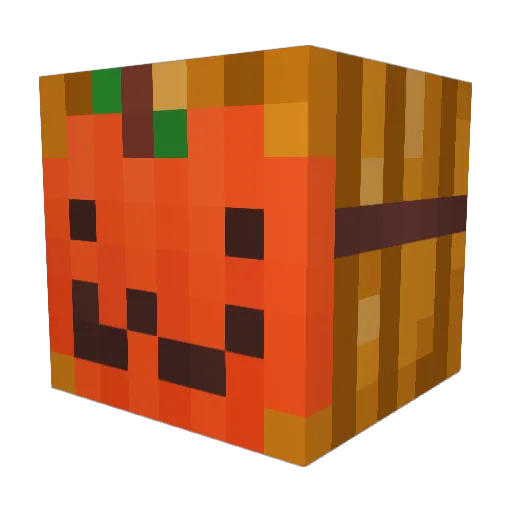 Benny204 Minecraft avatar head, 3D render