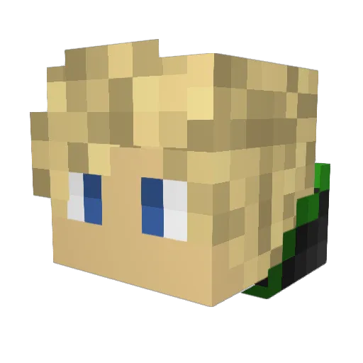 BennyZebra Minecraft avatar head, 3D render