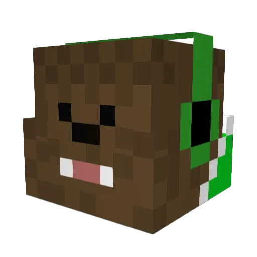 Benny_GamerJr Minecraft avatar head, 3D render
