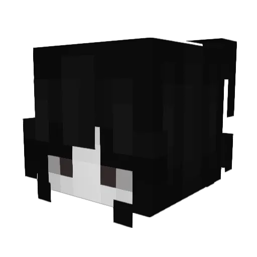 Benny_sus Minecraft avatar head, 3D render