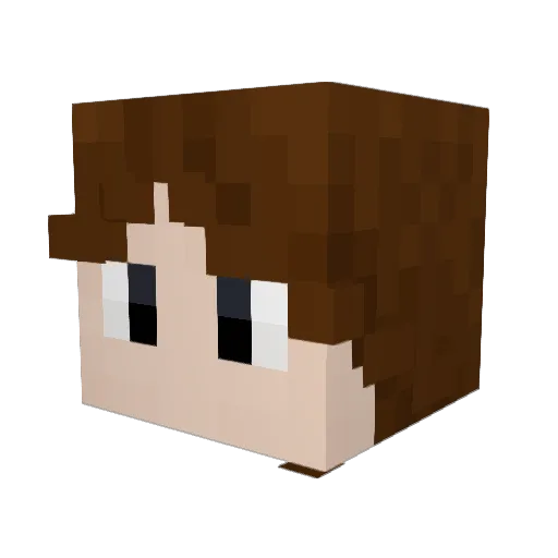 Bennymations Minecraft avatar head, 3D render