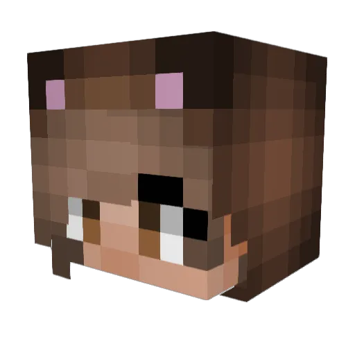 Bennyz123 Minecraft avatar head, 3D render