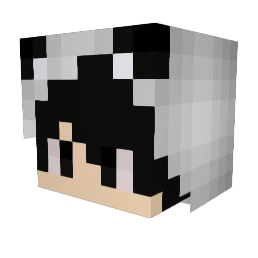 Benodersoo Minecraft avatar head, 3D render