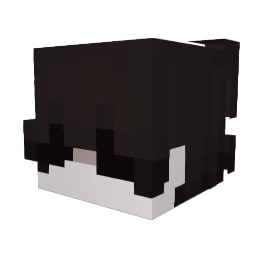 Benotas Minecraft avatar head, 3D render