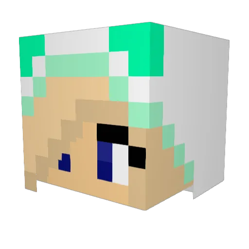 Benpf2004 Minecraft avatar head, 3D render