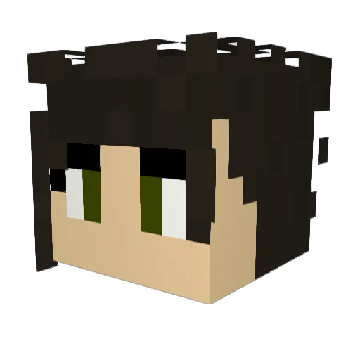 Benphil1128 Minecraft avatar head, 3D render