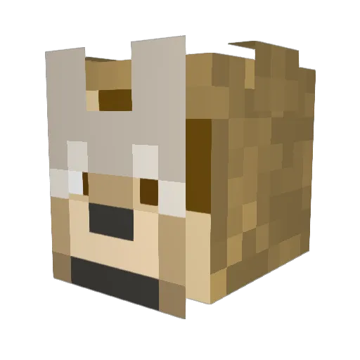 Benrexbolt Minecraft avatar head, 3D render