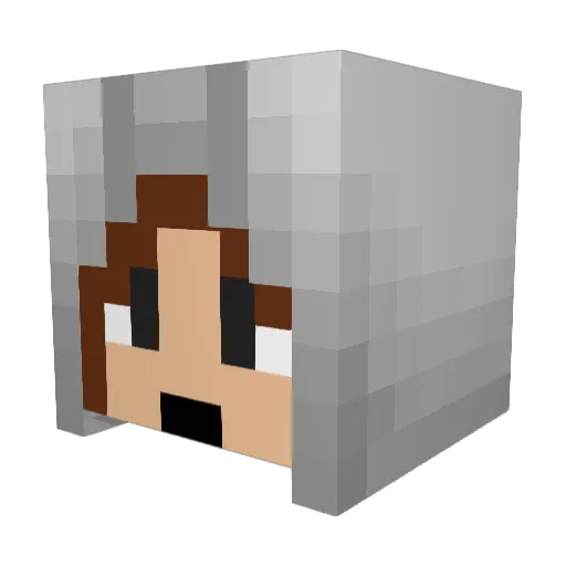 Benroxx Minecraft avatar head, 3D render
