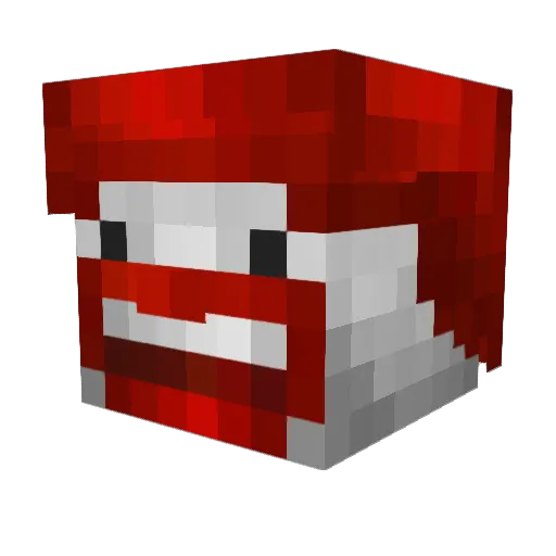 Bensonheimer2 Minecraft avatar head, 3D render