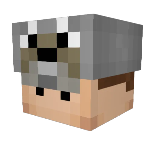 Bensoos Minecraft avatar head, 3D render