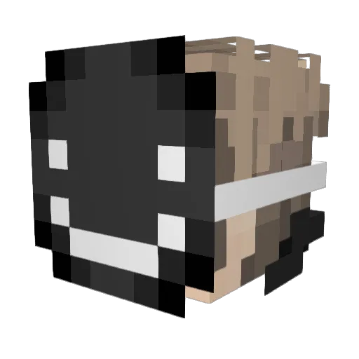 Beny00 Minecraft avatar head, 3D render