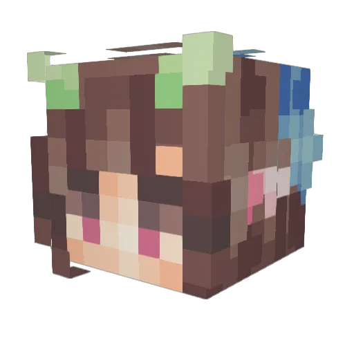 Beorn907 Minecraft avatar head, 3D render
