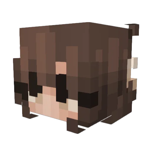 BerNICE4 Minecraft avatar head, 3D render