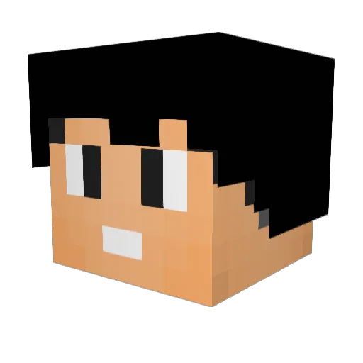 Ber_Grilz Minecraft avatar head, 3D render