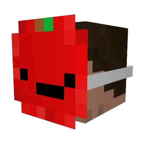 Berdan_420 Minecraft avatar head, 3D render